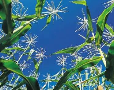 �r(n��ng)�a(ch��n)Ʒ�Gɫ�a(ch��n)Ʒ�J(r��n)�C